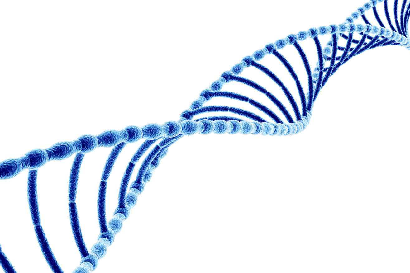 DNA double helix illustration representing mitochondria-targeted peptide research